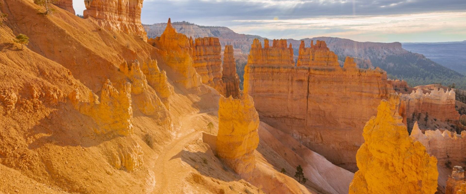 Where to Find the Best Tours in America?