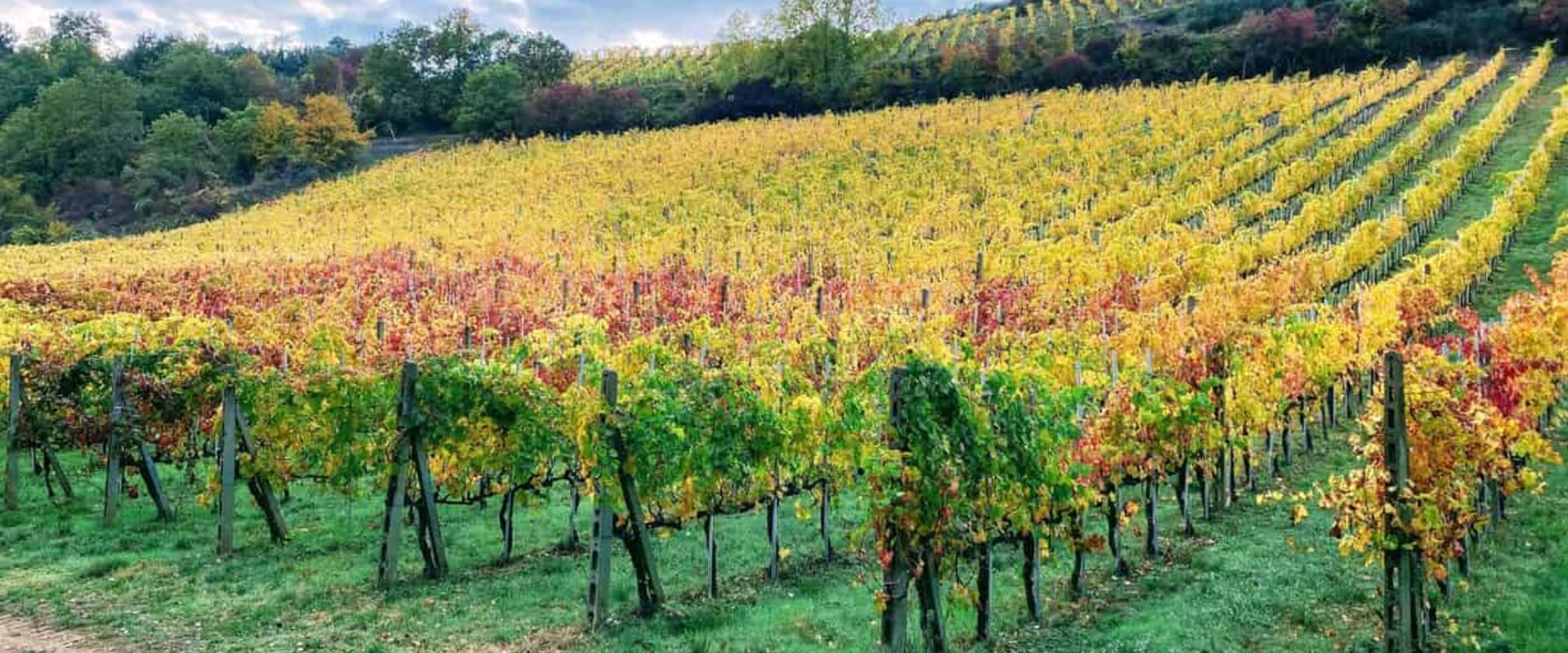 Where to Visit in Italy for a Warm October Vacation