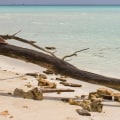 Four Reasons Why People Travel and How It Can Change Your Life