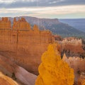 Where to Find the Best Tours in America?