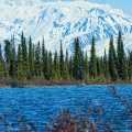 Do I Need to Apply for Visas for the Best Tours in America?