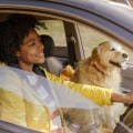 Is Travelers Insurance Good at Paying Claims?