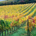 Where to Visit in Italy for a Warm October Vacation