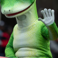 Who Does Geico Insurance Belong To?