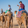 The Best Travel Tour Companies: A Comprehensive Guide