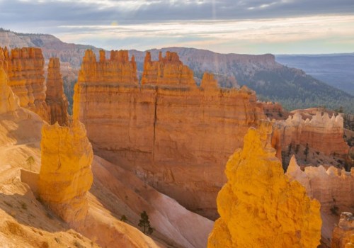 Where to Find the Best Tours in America?