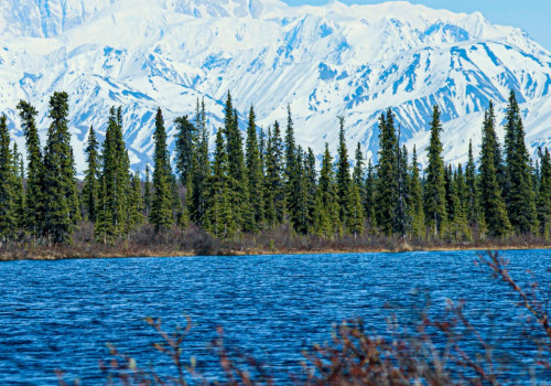 Do I Need to Apply for Visas for the Best Tours in America?