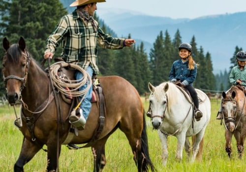 How to Find a Reliable Tour Operator for Your Next Trip