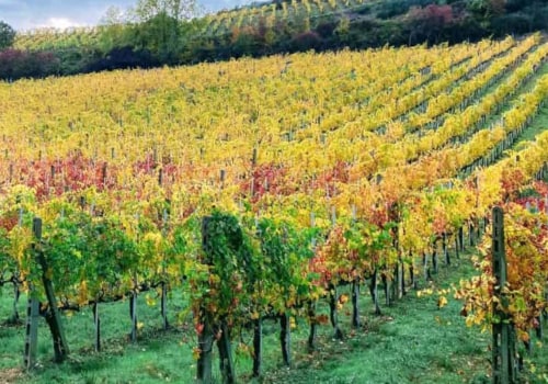 Where to Visit in Italy for a Warm October Vacation